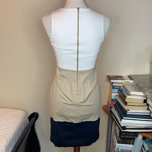 The Limited Color Block Sleeveless Bodycon Dress (Size: 0) - Picture 13 of 16